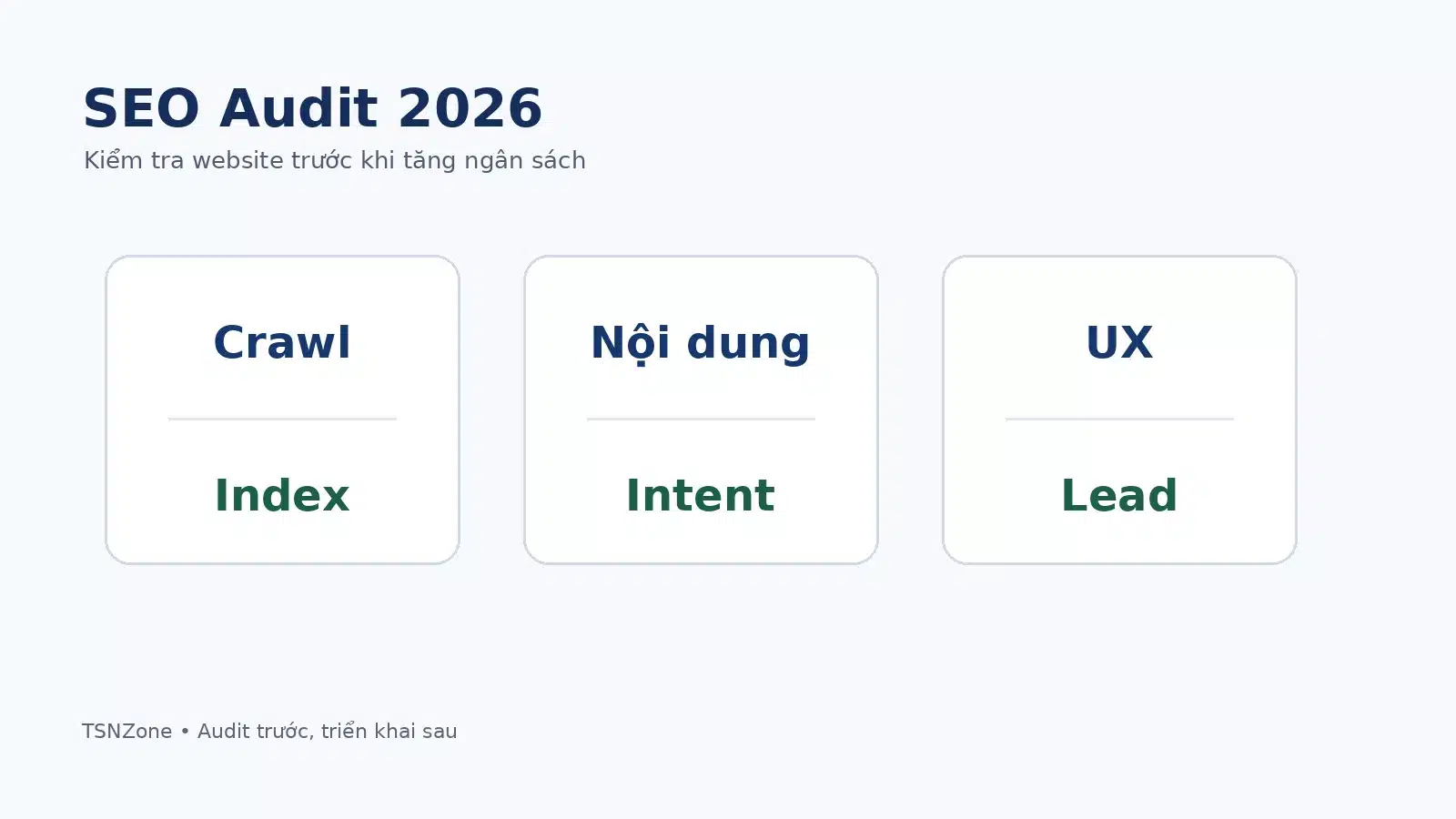 Minh họa SEO Audit kiểm tra website